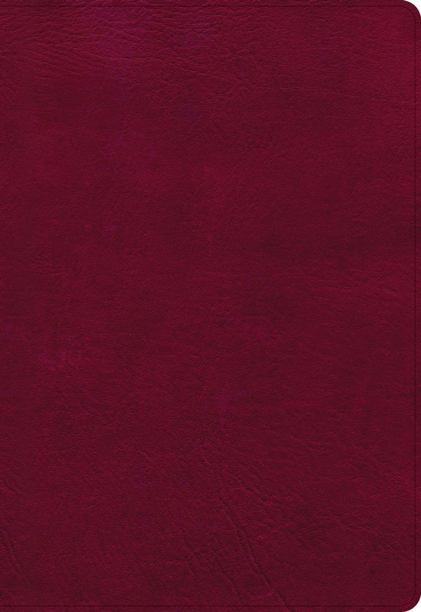 Cover image for NASB Super Giant Print Reference Bible, Burgundy Leathertouch, isbn: 9781087756295