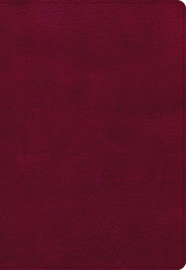 Cover image for NASB Super Giant Print Reference Bible, Burgundy Leathertouch, isbn: 9781087756295