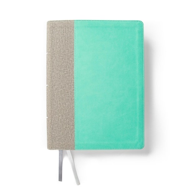 Cover image for CSB Lifeway Women's Bible, Gray/Mint Leathertouch, isbn: 9781087757537