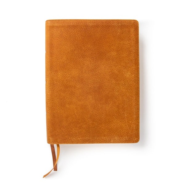 Cover image for CSB Lifeway Women's Bible, Butterscotch Genuine Leather, isbn: 9781087757551