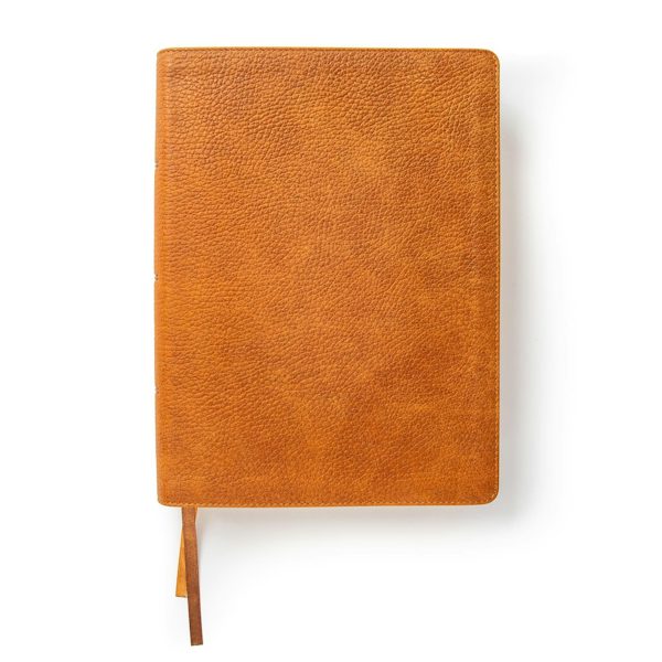 Cover image for CSB Lifeway Women's Bible, Butterscotch Genuine Leather, Indexed, isbn: 9781087757568