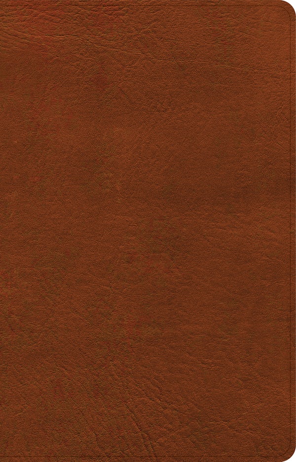 Cover image for NASB Large Print Personal Size Reference Bible, Burnt Sienna Leathertouch, Indexed, isbn: 9781087757650
