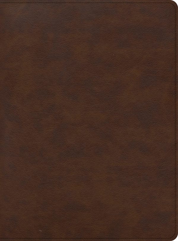 Cover image for CSB Apologetics Study Bible for Students, Brown Leathertouch, isbn: 9781087757964