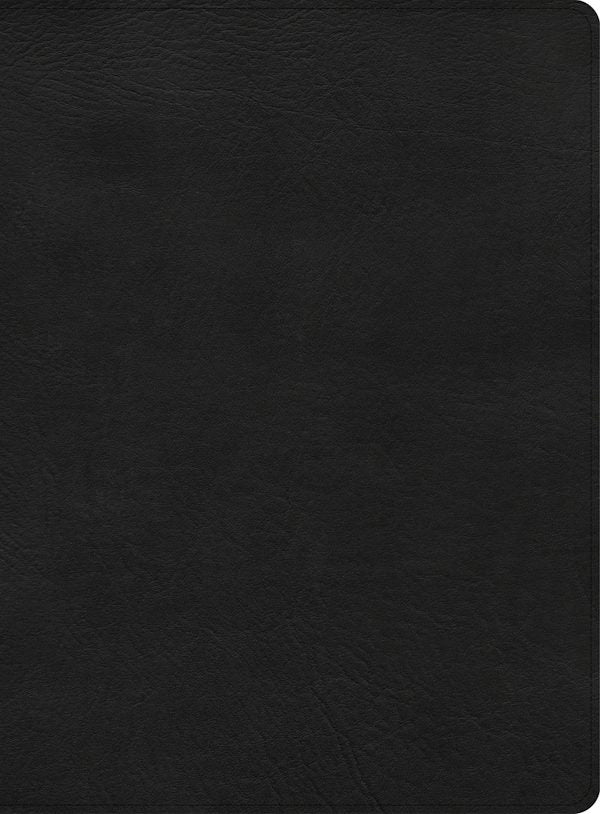 Cover image for CSB Apologetics Study Bible, Black Leathertouch, isbn: 9781087757988