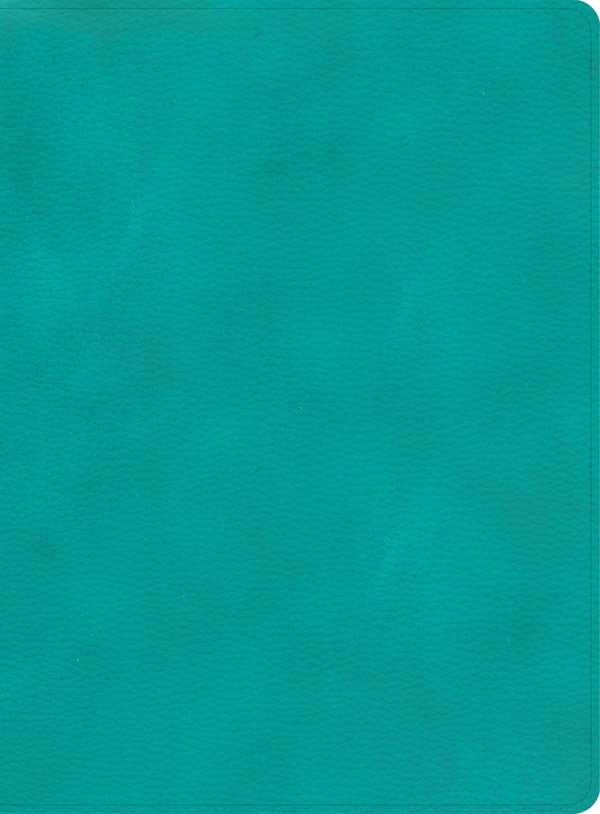 Cover image for CSB Apologetics Study Bible, Teal Leathertouch, isbn: 9781087757995