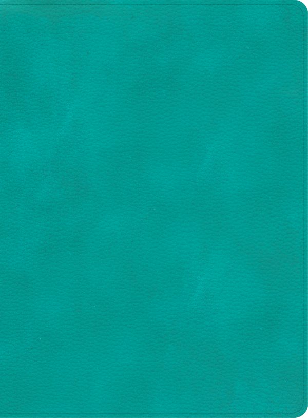 Cover image for CSB Apologetics Study Bible, Teal Leathertouch, isbn: 9781087757995