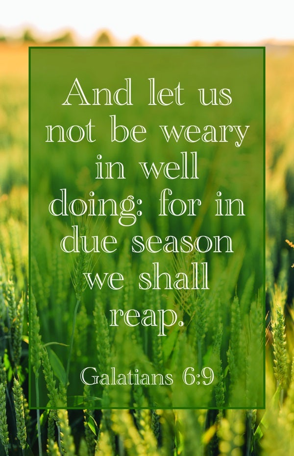 Cover image for General Worship Bulletin: We Shall Reap (Package of 100), isbn: 9781087765327