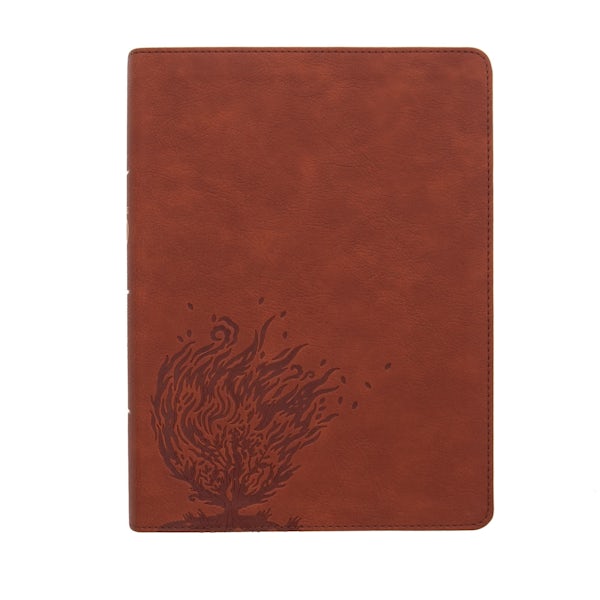 Cover image for CSB Experiencing God Bible, Burnt Sienna Leathertouch, Indexed, isbn: 9781087765556