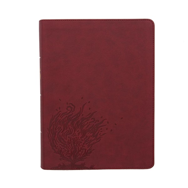 Cover image for CSB Experiencing God Bible, Burgundy Leathertouch, Indexed, isbn: 9781087765594