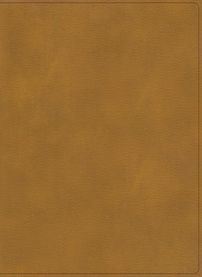 Cover image for Rvr 1960 Biblia Ilustrada de la Tierra Santa, Café Símil Piel, isbn: 9781087765747