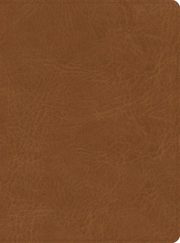 Cover image for CSB He Reads Truth Bible, Saddle Leathertouch, Indexed, isbn: 9781087766140