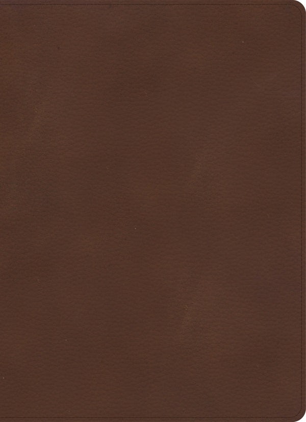 Cover image for KJV Single-Column Wide-Margin Bible, Brown Leathertouch, isbn: 9781087767628