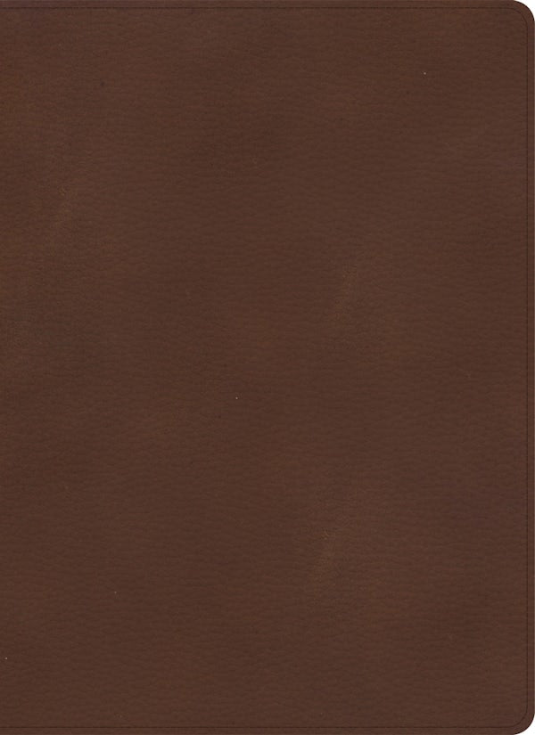 Cover image for KJV Single-Column Wide-Margin Bible, Brown Leathertouch, isbn: 9781087767628