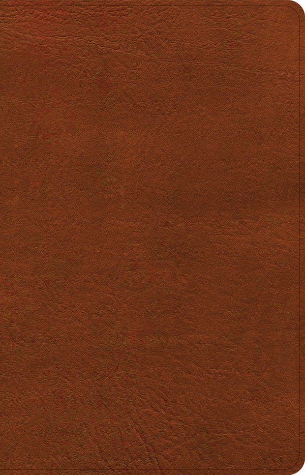 Cover image for CSB Thinline Bible, Burnt Sienna Leathertouch, isbn: 9781087767680