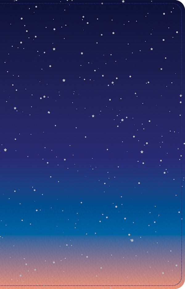 Cover image for CSB Kids Bible, Thinline Edition, Space Leathertouch, isbn: 9781087767857