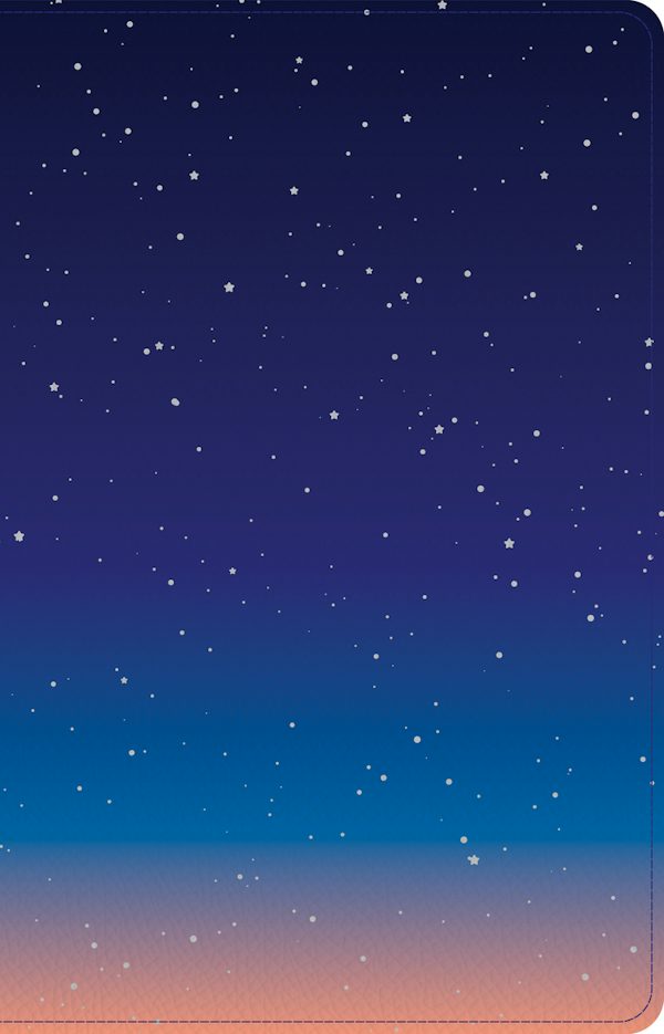 Cover image for CSB Kids Bible, Thinline Edition, Space Leathertouch, isbn: 9781087767857