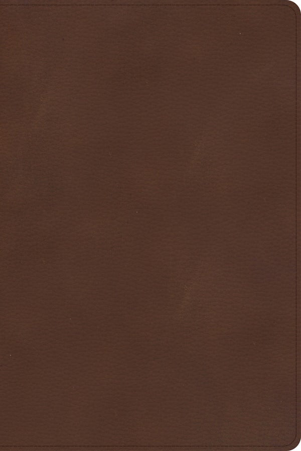 Cover image for CSB Rainbow Study Bible, Brown Leathertouch, isbn: 9781087774213
