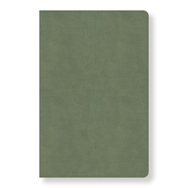 Cover image for CSB Every Day with Jesus Daily Bible, Sage Leathertouch, isbn: 9781087774367