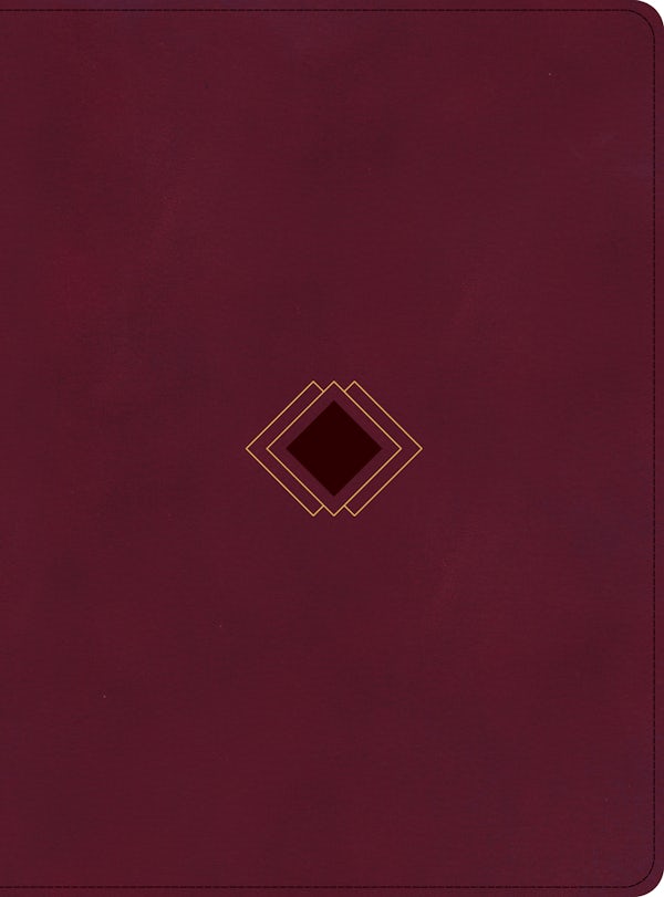 Cover image for CSB Day-By-Day Chronological Bible, Burgundy Leathertouch, isbn: 9781087774374