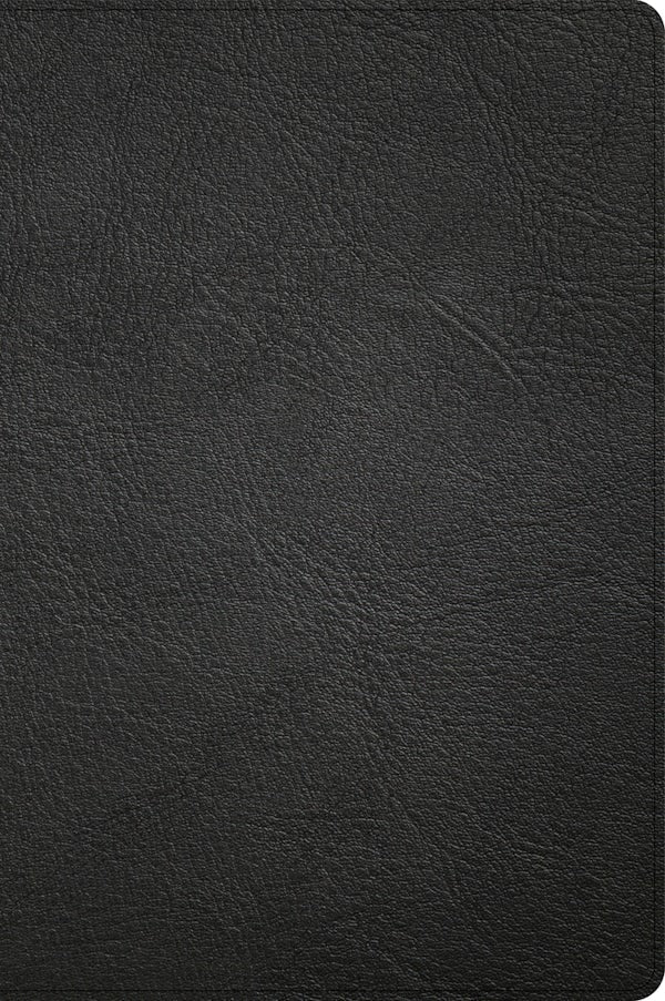 Cover image for CSB Large Print Thinline Bible, Easy-To-Read Optimal Type, Holman Handcrafted Collection, Black Premium Goatskin, isbn: 9781087774435