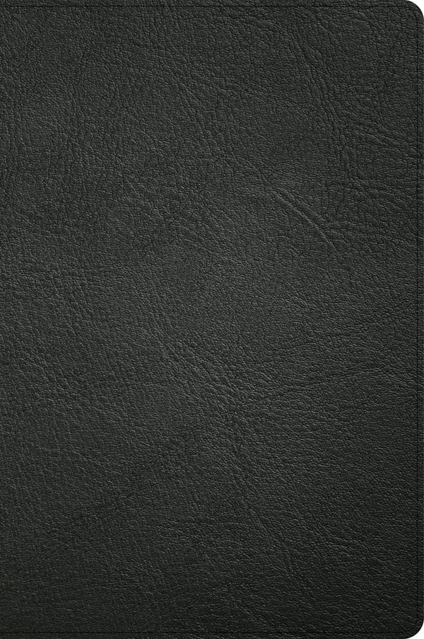 Cover image for CSB Large Print Thinline Bible, Easy-To-Read Optimal Type, Holman Handcrafted Collection, Black Premium Goatskin, isbn: 9781087774435