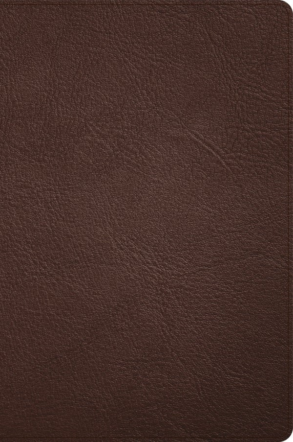 Cover image for CSB Large Print Thinline Bible, Holman Handcrafted Collection, Brown Premium Goatskin, isbn: 9781087774442