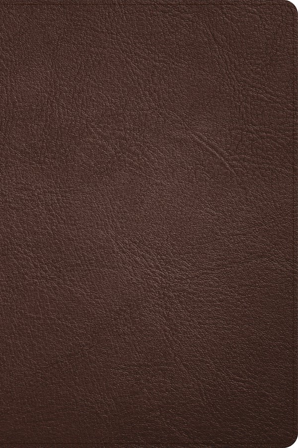 Cover image for CSB Large Print Thinline Bible, Easy-To-Read Optimal Type Holman Handcrafted Collection, Brown Premium Goatskin, isbn: 9781087774442
