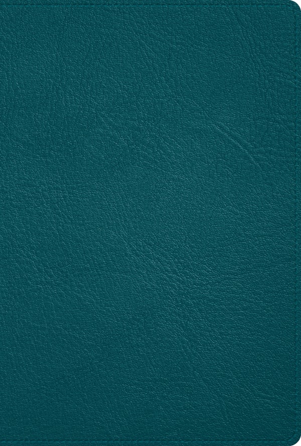 Cover image for Rvr 1960 Biblia Deluxe, Verde Turquesa Piel Genuina, isbn: 9781087774893