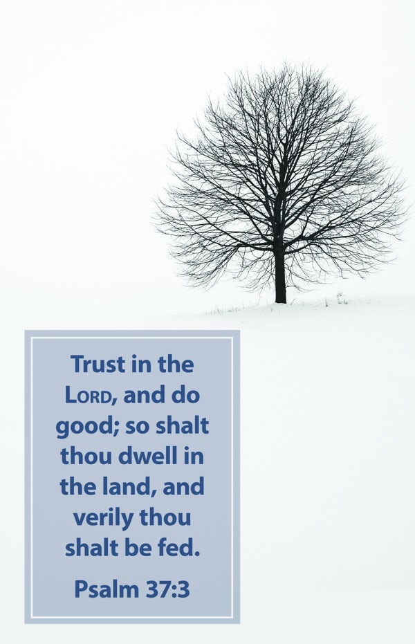 Cover image for General Worship Bulletin: Trust (Package of 100), isbn: 9781087775685
