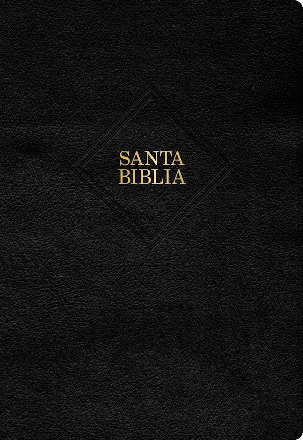 Cover image for Rvr 1960 Biblia Letra Supergigante, Negro Piel Fabricada Con �ndice (Edici�n 2023), isbn: 9781087782393