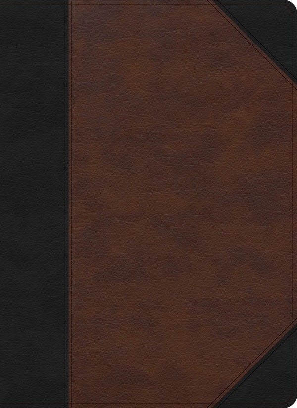 Cover image for CSB Verse-By-Verse Reference Bible, Black/Brown Leathertouch, isbn: 9781087782690