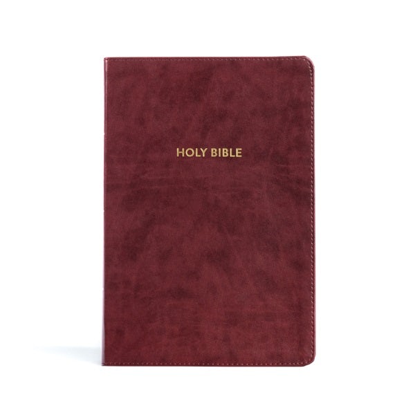 Cover image for KJV Rainbow Study Bible, Burgundy Leathertouch, isbn: 9781087782737