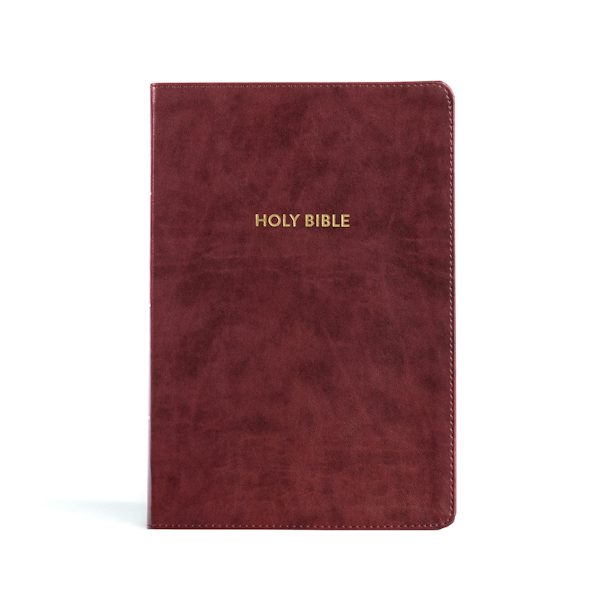 Cover image for KJV Rainbow Study Bible, Burgundy Leathertouch, isbn: 9781087782737