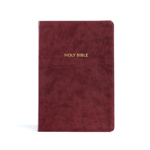Cover image for KJV Rainbow Study Bible, Burgundy Leathertouch, Indexed, isbn: 9781087782744