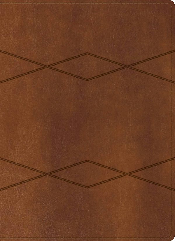 Cover image for Rvr 1960 Biblia de Estudio Holman, Caf� S�mil Piel, isbn: 9781087783482