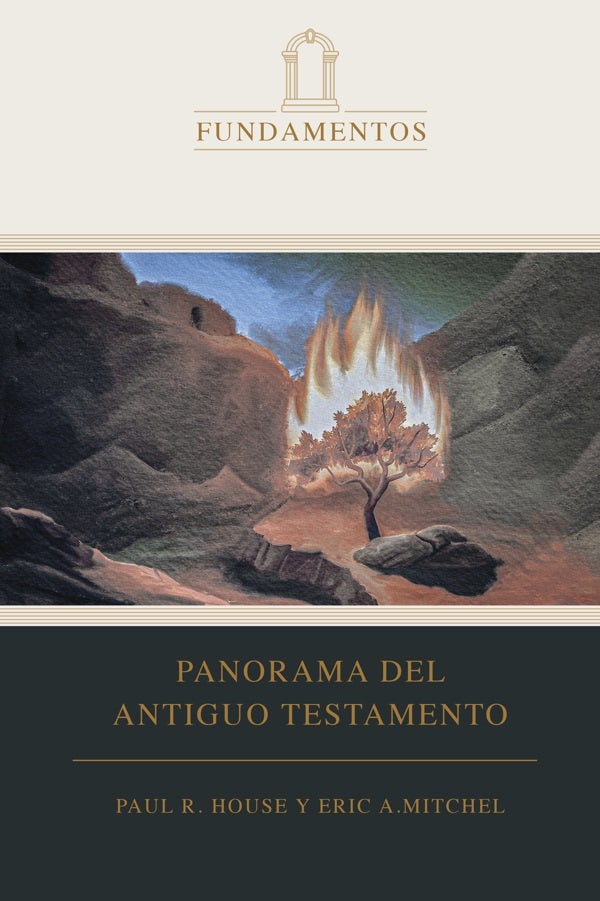 Cover image for Panorama del Antiguo Testamento, isbn: 9781087784977