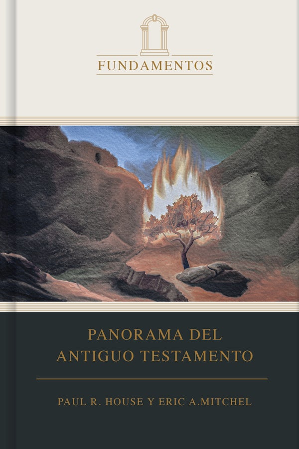 Cover image for Panorama del Antiguo Testamento, isbn: 9781087784977