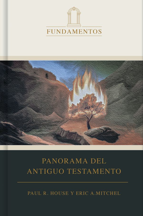Cover image for Panorama del Antiguo Testamento, isbn: 9781087784977