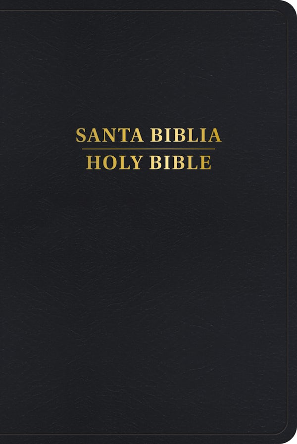 Cover image for Rvr 1960/KJV Biblia Biling�e, Negro Imitaci�n Piel Con �ndice (Edici�n 2024), isbn: 9781087788418