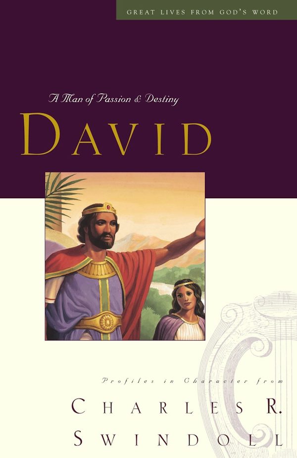Cover image for Great Lives: David, isbn: 9781400202249
