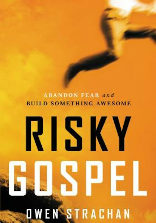 Cover image for The Risky Gospel, isbn: 9781400205790