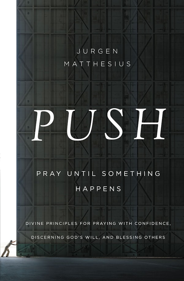 Cover image for The Push, isbn: 9781400206513