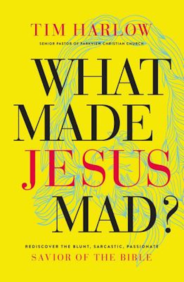 Cover image for What Made Jesus Mad?, isbn: 9781400208609