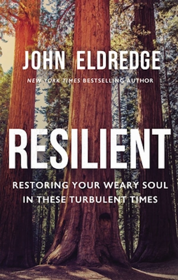 Cover image for Resilient, isbn: 9781400208647