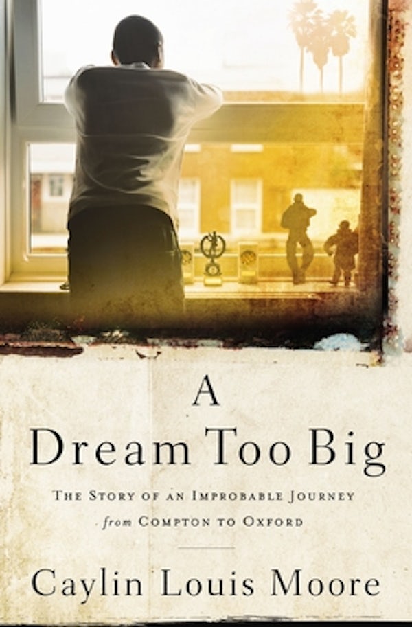 Cover image for A Dream Too Big, isbn: 9781400209941