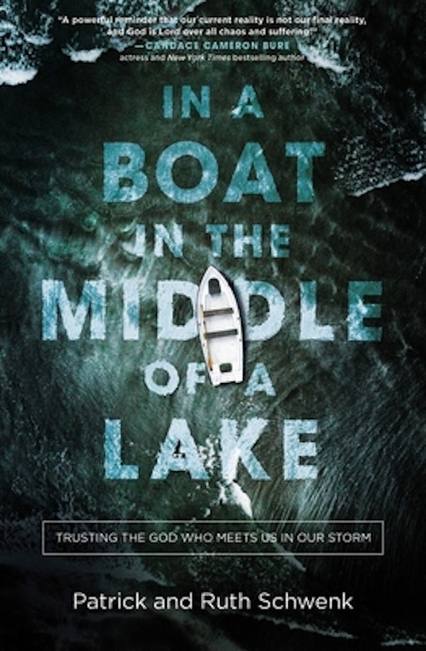Cover image for In a Boat in the Middle of a Lake, isbn: 9781400216871