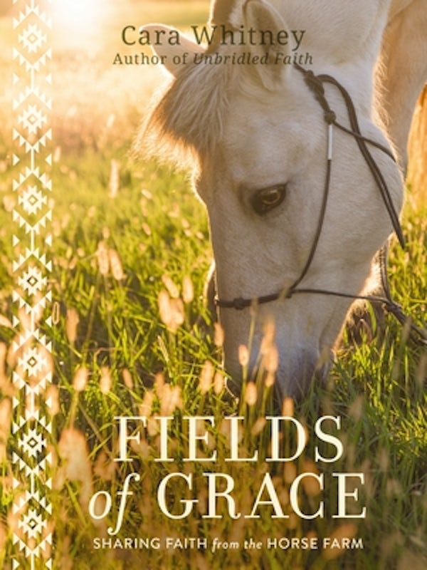 Cover image for Fields of Grace, isbn: 9781400220090