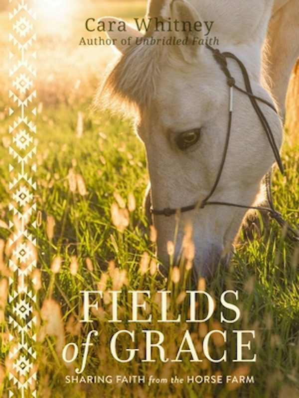 Cover image for Fields of Grace, isbn: 9781400220090