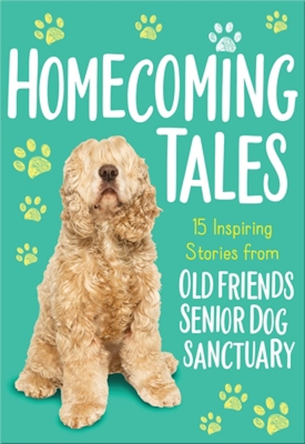 Cover image for Homecoming Tales, isbn: 9781400222926