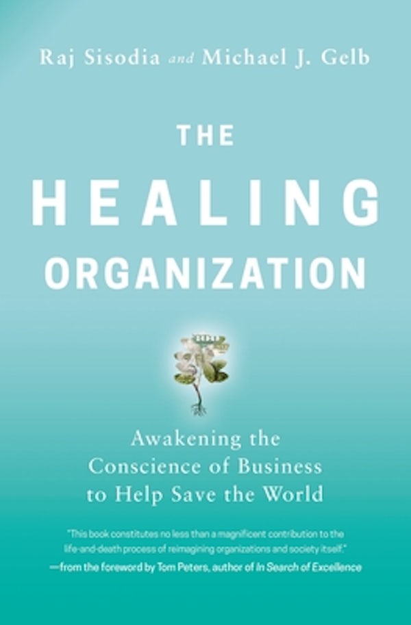 Cover image for The Healing Organization, isbn: 9781400230570